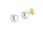 Akoya Zuchtperlohrstecker 6,0 - 6,5 mm