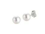 Akoya Zuchtperlohrstecker 6,5 - 7,0 mm
